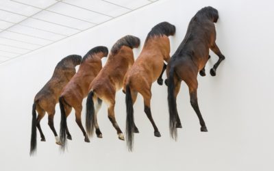 Milano ritrova Cattelan in mostra con “Breath Ghosts Blind” dal 15 Luglio al Pirelli Hangar Bicocca